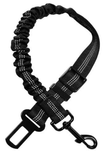 Dog harness