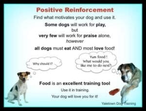 Reward-Based Training: Treats Vs. Praise Vs. Toys 2 Reward-Based Training