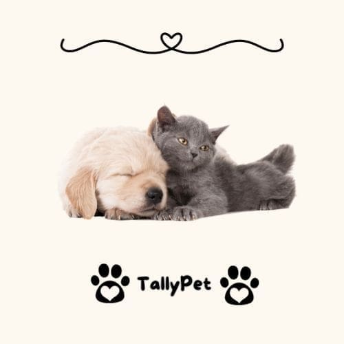 Happy Pet Place: Ultimate Guide for Pet Health & Happiness