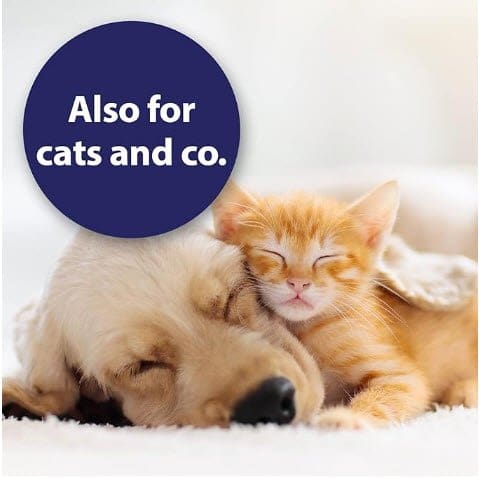 Wound Spray for Dogs